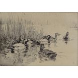 Winifred Austen, etching, ducks among the reeds, s