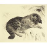 Kurt Meyer-Aberhardt (1895 - 1977), etching, kitte
