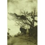 N Rawlin, mezzotint, Country Lane, signed in penci