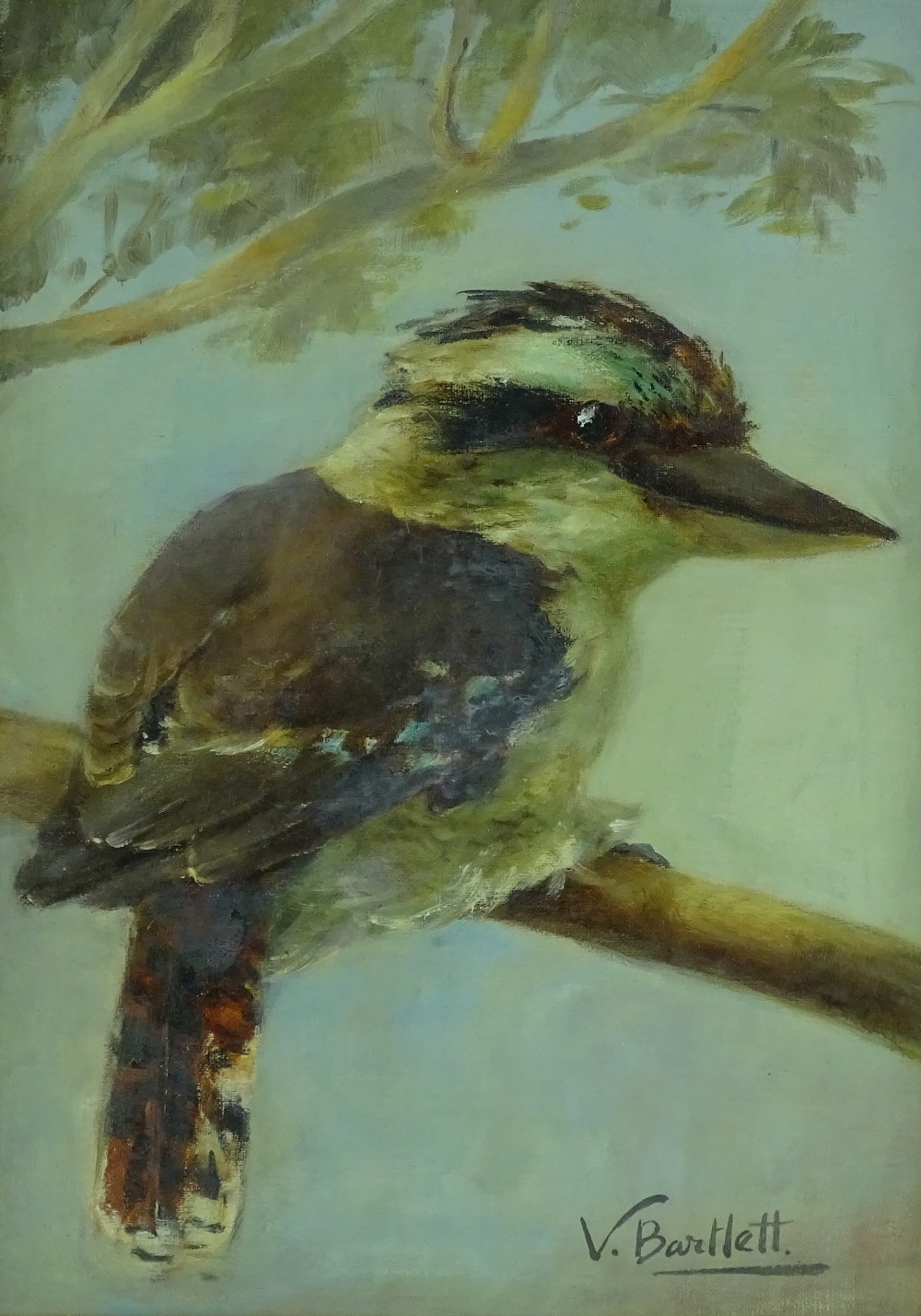 Violet Bartlett, oil on canvas, Kookaburra on a br