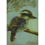 Violet Bartlett, oil on canvas, Kookaburra on a br