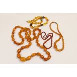 Butterscotch amber graduated bead necklace, the largest bead approx. 35mm, the smallest approx.
