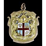 A George V 15ct gold and enamel presentation medal - "To G.C. Swain Esq J.P. By a Committee of a Few