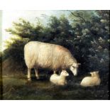 A 19th Century English school - Oil painting - Standing ewe and two recumbent lambs in a