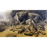 Herbert Thomas Dicksee (1862-1942) - Two etchings - "Danger" - Lion, lioness and cubs resting on a