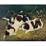 19th Century English school - Watercolour - Study of three puppies amongst straw, 10.75ins x 13.