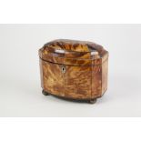 NINETEENTH CENTURY BLONDE TORTOISESHELL TEA CADDY, of bow fronted oblong form with initialled silver
