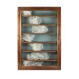 STAINED WOOD AND GLAZED SHALLOW MURAL DISPLAY CABINET with six stained wood loose shelves to display
