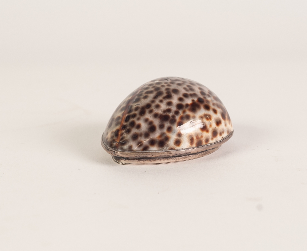 AN EARLY NINETEENTH CENTURY WHITE METAL MOUNTED COWRIE SHELL SNUFF BOX, the hinged covered