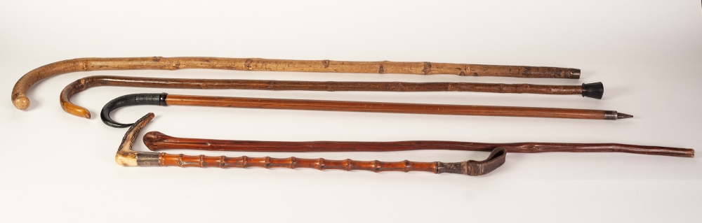 A BAMBOO ANTLER HANDLED RIDING CROP with white metal ferrule AND FOUR VARIOUS WALKING STICKS (5)