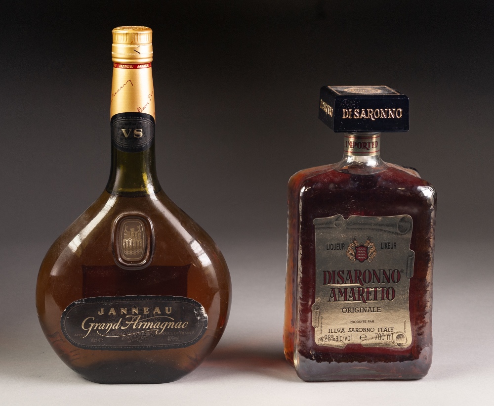 70cl BOTTLE OF JANNEAU GRAND ARMAGNAC, and a 70cl BOTTLE OF DISARONNO AMARETTO, (2)