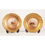 PAIR OF EARLY TWENTIETH CENTURY ROYAL WORCESTER HAND PAINTED CHINA PLATES IN THE STYLE OF JAMES
