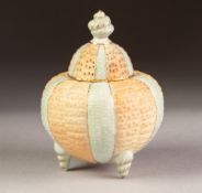 a CIRCA 1900 GRAINGER WORCESTER PORCELAIN SMALL POT POURRI of conch shell form with pierced cover,