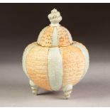 a CIRCA 1900 GRAINGER WORCESTER PORCELAIN SMALL POT POURRI of conch shell form with pierced cover,