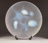 a 1930'S FRENCH VERLUX MOULDED OPALESCENT GLASS SHALLOW DISH, in relief with star fish, shells and