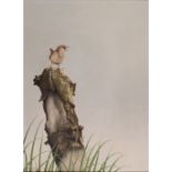 JERRY S. WAIDE (b. 1948) OIL PAINTING ON BOARD 'Wren perched upon a tree stump' Signed 15 3/4" x