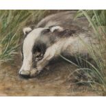 ANGELA MULLINER (Contemporary) WATERCOLOUR A Hound Signed 2 1/2" x 4" (6.5cm x 10cm) ALSO BY THE
