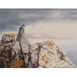 JERRY S. WAIDE (b.1948) OIL PAINTING ON BOARD 'Peregrine Falcon perched upon lichen covered cliff