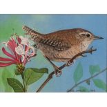 CHRIS SHIELDS (Contemporary) WATERCOLOUR 'Wren on honeysuckle' Signed and dated 1986 3" x 4" (7.
