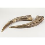 AN INTERESTING PAIR OF WATER BUFFALO HORNS, each finely worked in shallow relief with respectively a