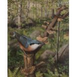 CHRIS SHIELDS (Contemporary) WATERCOLOUR 'Nuthatch in woodland' Signed and dated 1984 8 1/2" x 6 3/