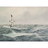 JERRY S. WAIDE (b.1948) OIL PAINTING ON BOARD 'Manx Shearwater in flight above open sea' Signed 15