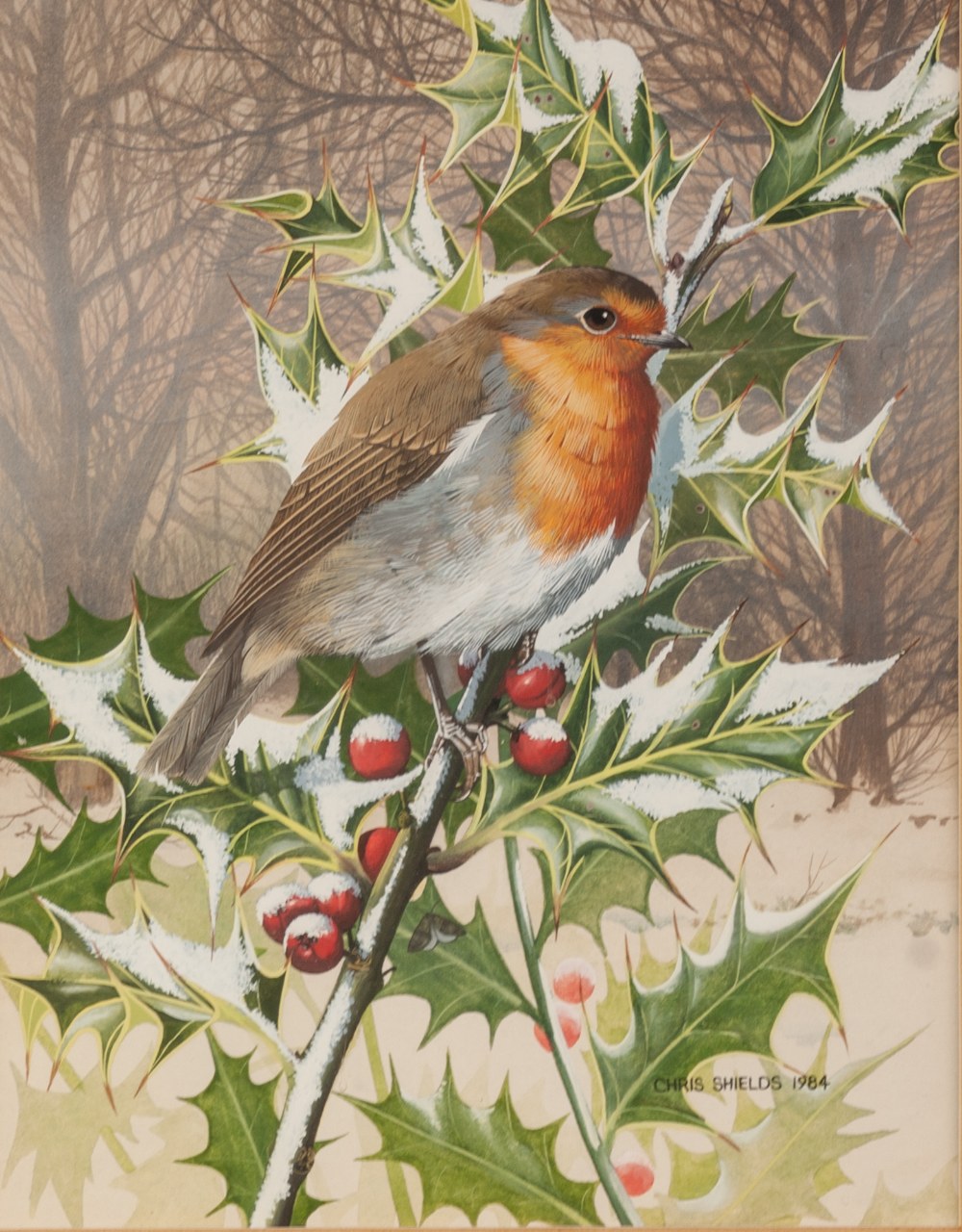 CHRIS SHIELDS (Contemporary) WATERCOLOUR 'Robin on a holly branch' Signed and dated 1984 8 1/4" x