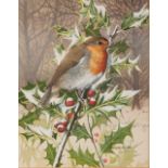 CHRIS SHIELDS (Contemporary) WATERCOLOUR 'Robin on a holly branch' Signed and dated 1984 8 1/4" x