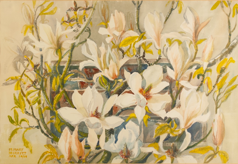 M.MARY MORRITT (TWENTIETH CENTURY) WATERCOLOUR DRAWING Floral study- white magnolia Signed and dated