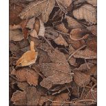 JERRY S. WAIDE (b. 1948) OIL PAINTING ON BOARD 'Wren on frost covered leaf litter' Signed 11 3/4"