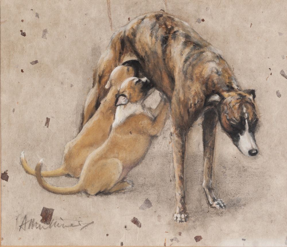 ANGELA MULLINER (Contemporary) WATERCOLOUR 'A greyhound suckling two pups' Signed 7 1/2" x 8 3/4" (