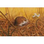 CHRIS SHIELDS (Contemporary) WATERCOLOUR 'Field mouse with oxe-eye daisy' Signed and dated 1986 3