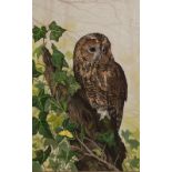 CHRIS SHIELDS (Contemporary) WATERCOLOUR 'Tawny Owl on a tree stump' Signed and dated 1985 14" x 8