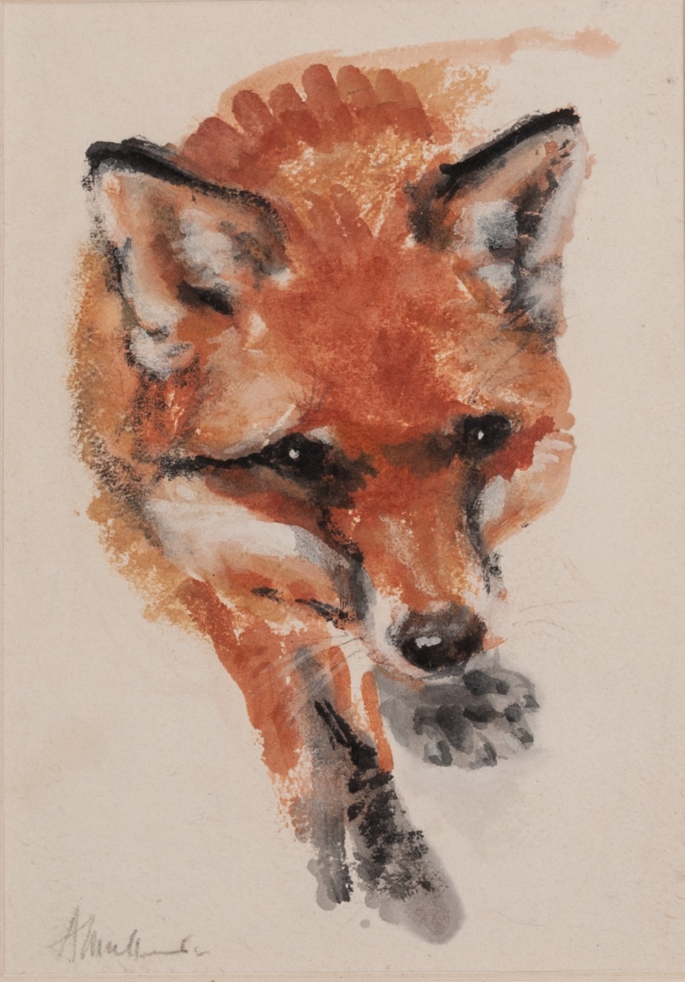 ANGELA MULLINEAR (Contemporary) WATERCOLOUR Study of a fox Signed 7 1/4" x 5" (18.5cm x 12.5cm)