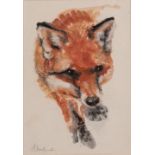 ANGELA MULLINEAR (Contemporary) WATERCOLOUR Study of a fox Signed 7 1/4" x 5" (18.5cm x 12.5cm)