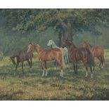 ELIZABETH HESP (Bury) OIL PAINTING ON BOARD 'Holiday', five horses in a group Signed and dated