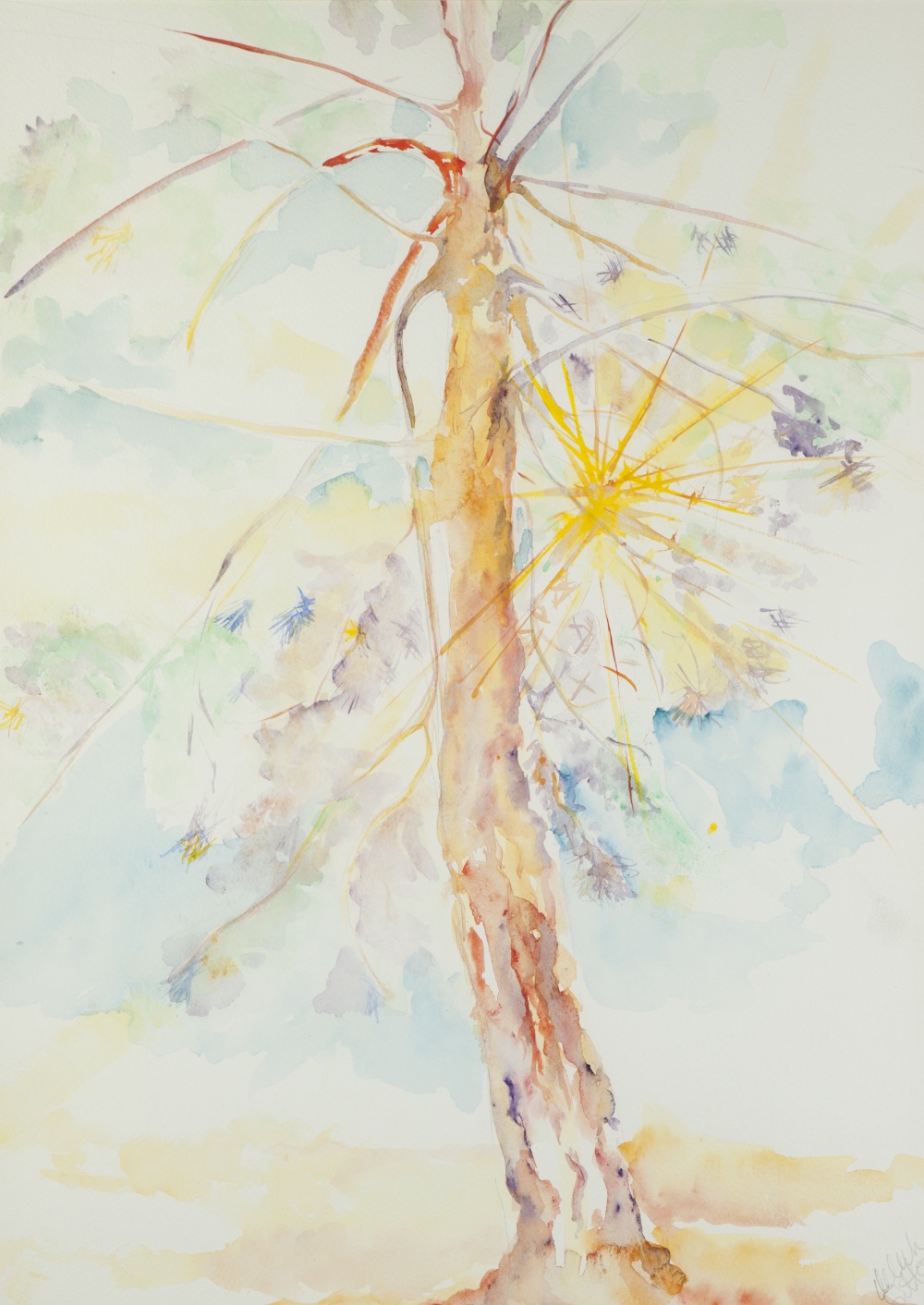 •PHILIP SUTTON (b.1928) TWO WATERCOLOUR DRAWINGS Study of trees, 22 ¼" x 16" (56.5cm x 40.7cm), - Image 2 of 4