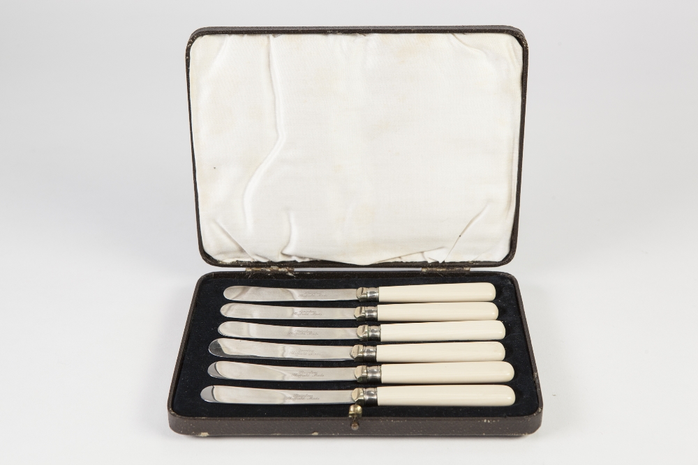 CASED SET OF SIX AFTERNOON TEA KNIVES, with ivorine handles