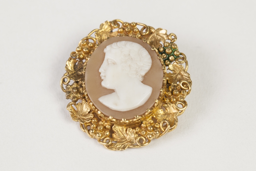 ANTIQUE SHELL CAMEO BROOCH, carved with a classical male head, in ornate giltmetal frame, pierced