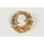 ANTIQUE SHELL CAMEO BROOCH, carved with a classical male head, in ornate giltmetal frame, pierced