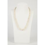 A SINGLE STRAND NECKLACE OF GRADUATED CULTURED PEARLS, 15" long including the short chain back