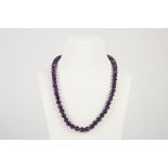 A SINGLE STRAND NECKLACE OF UNIFORM AMETHYST COLOURED BEADS, 17" long and a METAL BRACELET, with