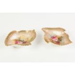PAIR OF SMALL EARLY 20th CENTURY ROYAL WORCESTER PORCELAIN LEAF-SHAPE PIN TRAYS each painted with