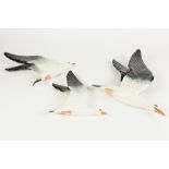 GRADUATED SET OF THREE BESWICK SEAGULL PATTERN POTTERY WALL PLAQUES, mould numbers: 922-3 and 922-1,