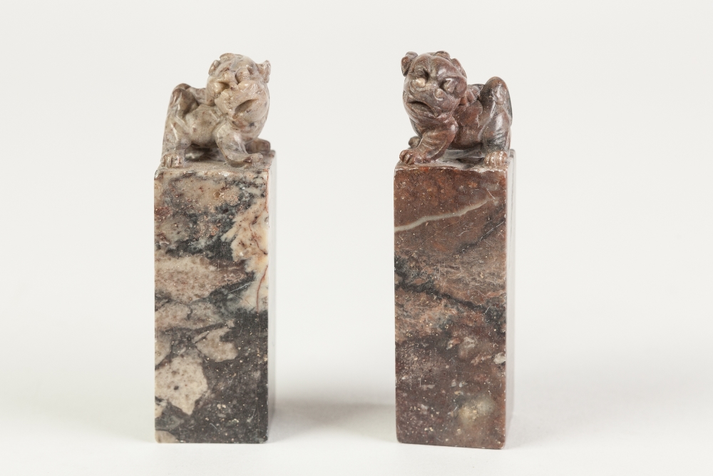 A NEAR PAIR OF CHINESE MOTTLED PURPLISH HARDSTONE SQUARE SEALS, surmounted with Buddhistic lions,