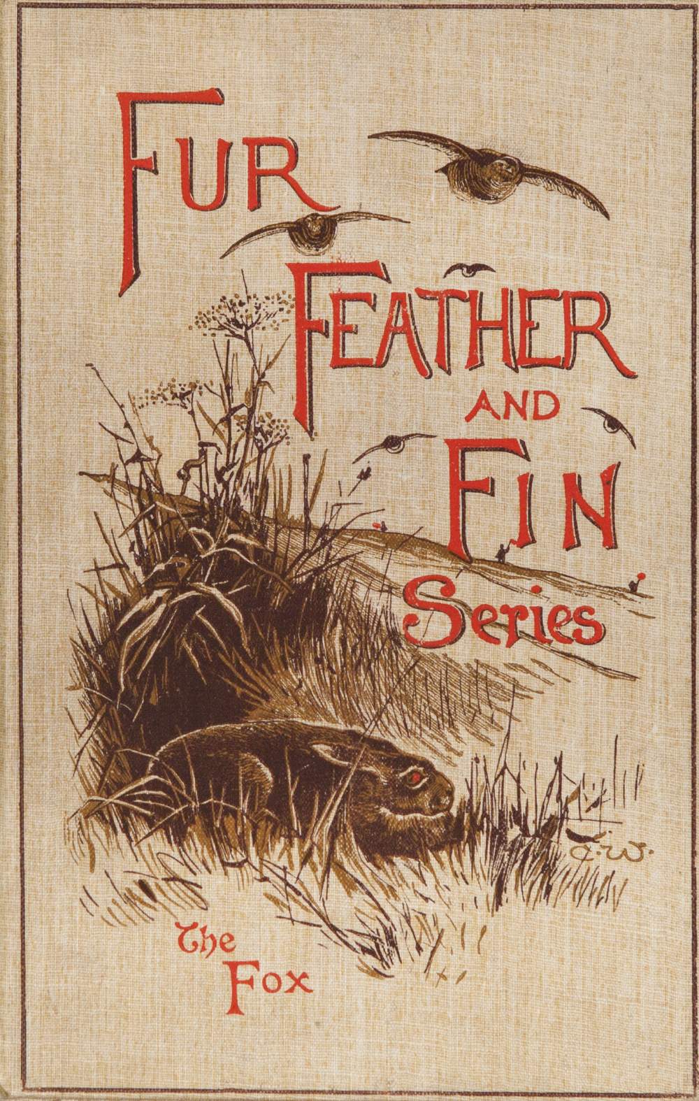 NINE TITLES FROM FUIS FEATHERS AND FINS SERIES. Published by Longman's to Include; Snipes and - Image 2 of 2