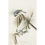 AUDUBON'S AVIARY. The Original Watercolours for The Birds of America, deluxe edition. Published