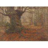 UNATTRIBUTED (NINETEENTH CENTURY) OIL PAINTING ON CANVAS Woodland sene 10 ½" x 14 ½" (26.7cm x 36.