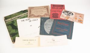 HIGHAMS. ILLUSTRATED CATALOGUE OF CONCERTINAS MELODEONS, MUSICAL BOXES, MOUTH ORGANS ETC.. Bridge