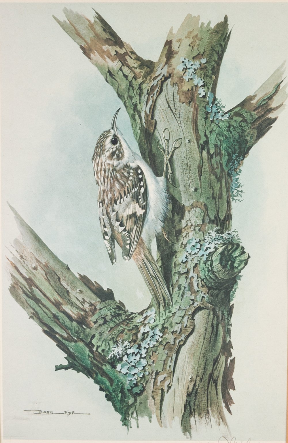 BASIL EDE (b. 1931) ARTIST SIGNED COLOUR PRINT Bird on a tree stump Guild stamped 7 1/2" x 11 1/